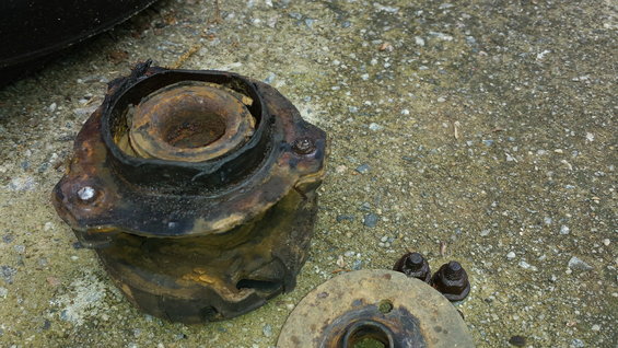 20150404_111842.jpg
