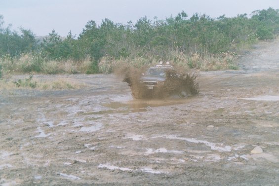 011_16a.jpg 
