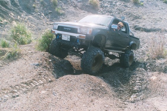 031_36a.jpg 