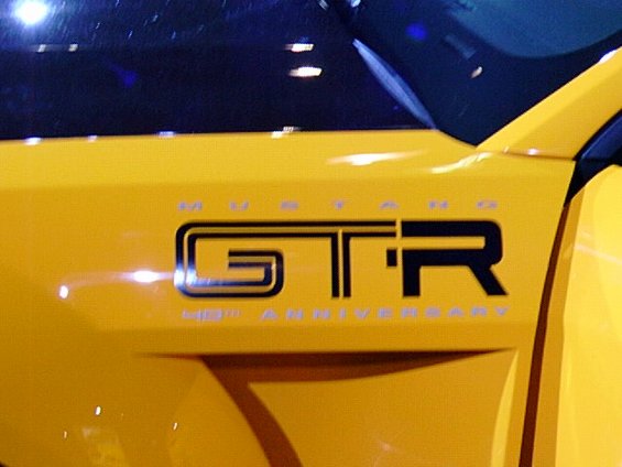 dsc00026.jpg GT-R front fender logo
