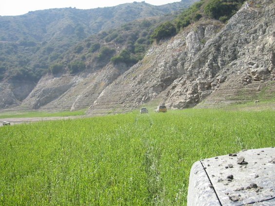 110-1079_img.jpg an untouched field