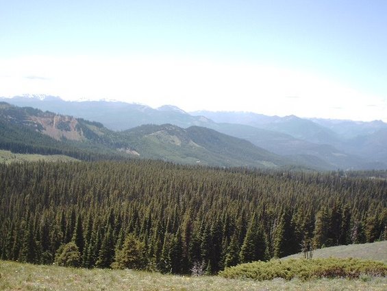 view-picture-2.jpg 