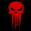 tn153-00160.jpg PUNISHER
