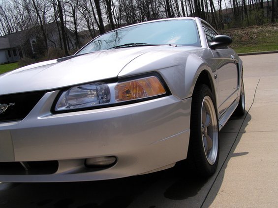 00stang2.jpg 