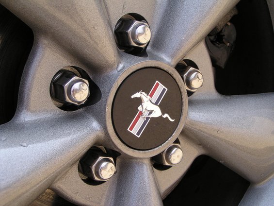 00stang3.jpg 
