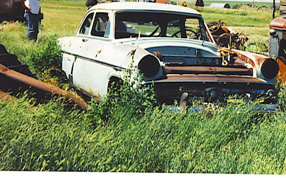 David Fransen 1954 Ford Customline