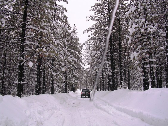 big-bear-1-8-05-011.jpg 