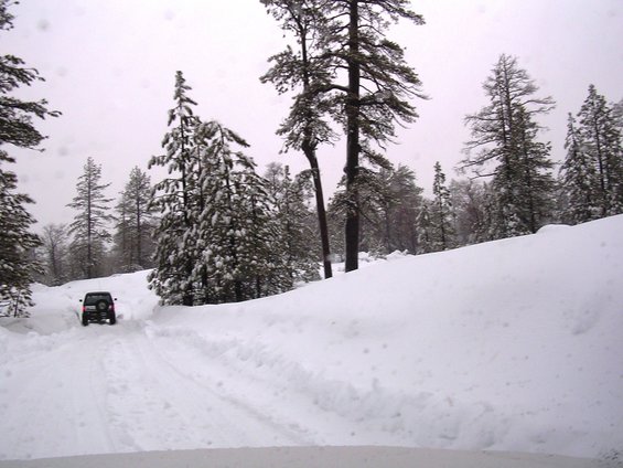 big-bear-1-8-05-016.jpg 