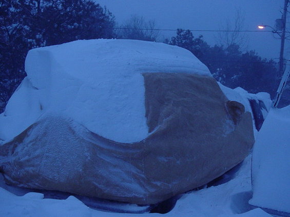 snow-bronc.jpg 