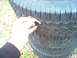 SOLD Set of 4 factory alloy rims from 1995 EB Bronco.  Will fit all 80-96 Broncos & F-150s, and any ...