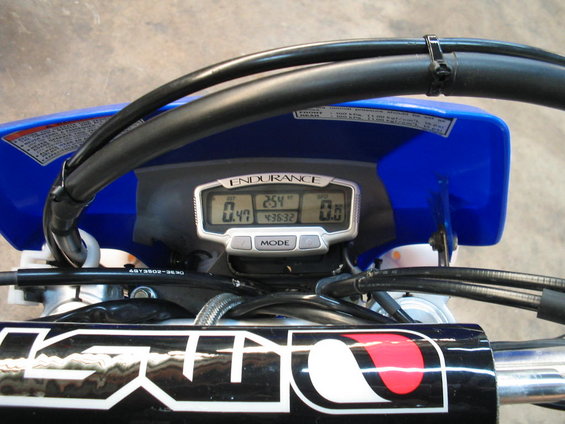 bull-110.jpg 