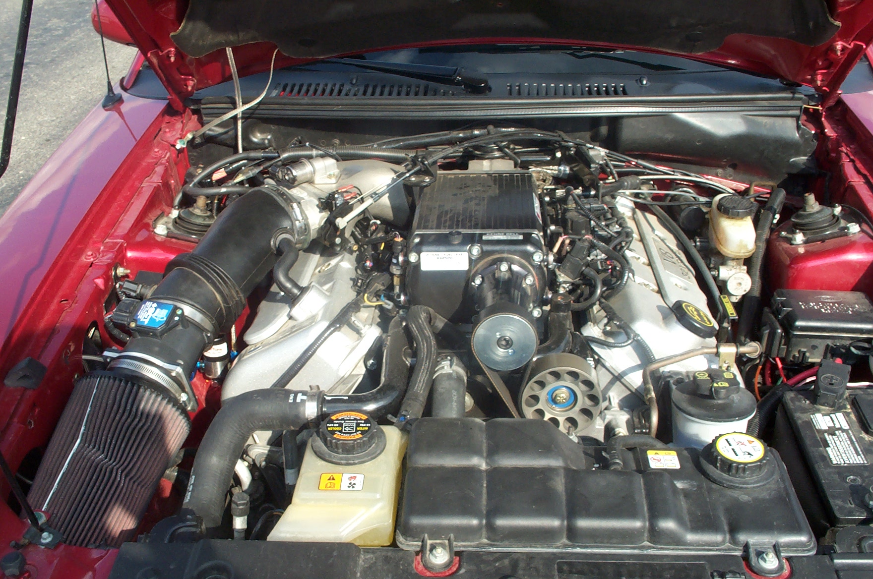 Kenne Bell Cobra