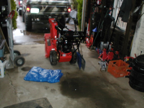 p3120045.jpg 