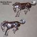 Bucking Bronco fender badges, chrome.

One SOLD