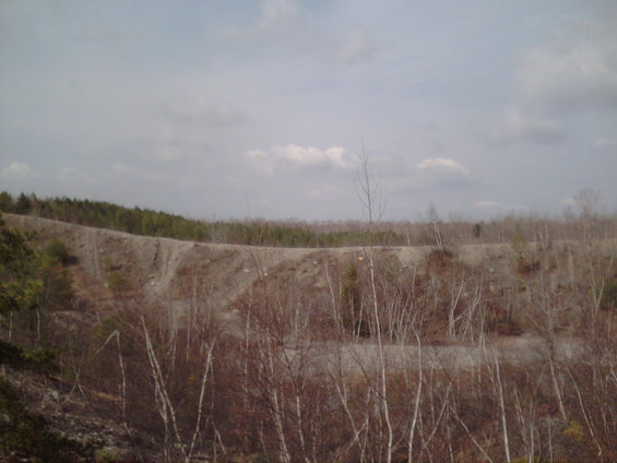 paragon-trip-41506-019.jpg 