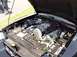 View of 2003 Cobra Engine....