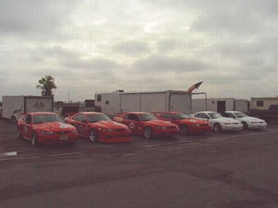 mamr1.jpg cobra R's at MAM