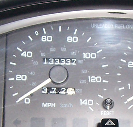 133337.jpg 