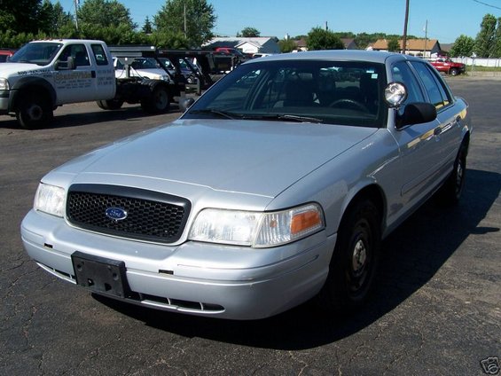 03cvlf.jpg 
