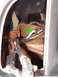 With a little effort, I was able to release the 3 wiring harness retainers & pull the harness out fa...