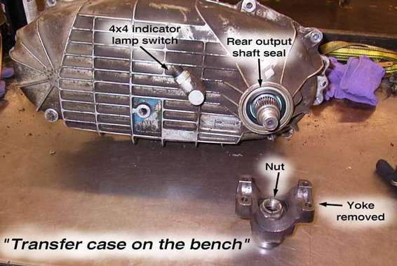 tcase-on-bench.jpg 