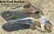 SOLD Axle Pivot Bracket from '96 Bronco

R bracket for L axle beam.  No damage or wear.  Fasteners...