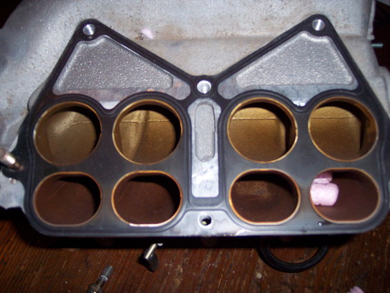 000_1480.jpg 