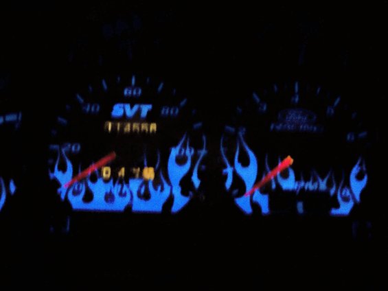 100_0351.jpg 