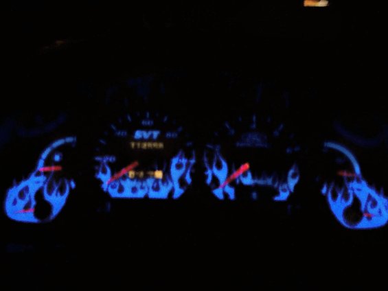100_0352.jpg 