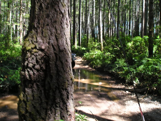 p1011202.jpg 