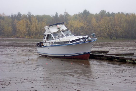 out-of-water.jpg 
