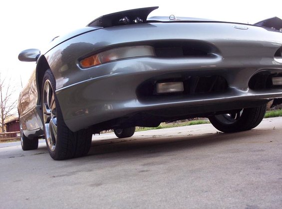picture-116.jpg 