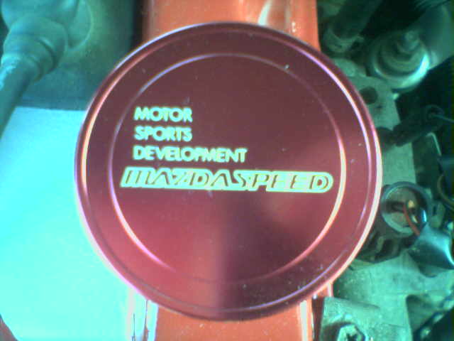 mazdaspeedjpg-7.jpg $75 worth of JDM bling