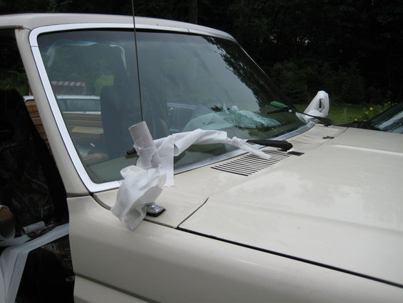 tp-windshield.jpg 
