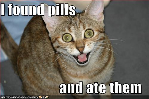 cat-ate-pills.jpg 