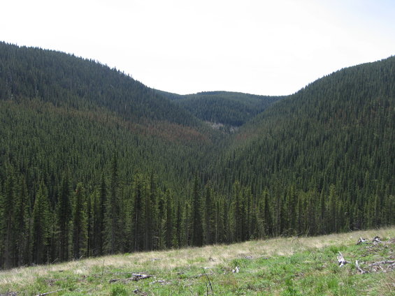 june-21-08-tour-009.jpg 
