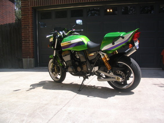 track-rex-025.jpg 