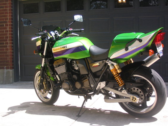 track-rex-026.jpg 