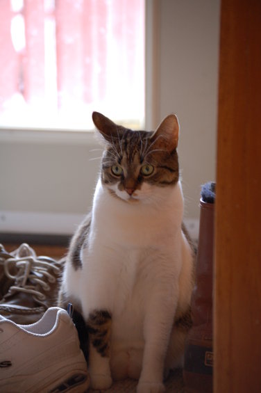 dsc_0217.jpg 
