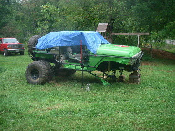 bronco-08-004.jpg patiently waiting