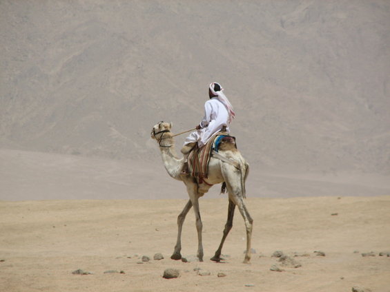 img_4076.jpg Bedouin near Peacekeeper