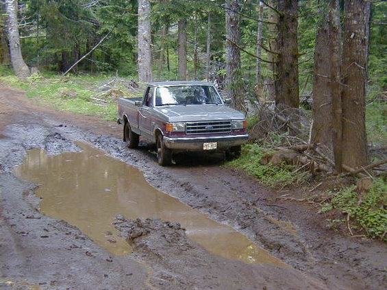 alvey_-_mud2.jpg Ken almost didn't make it.  Jeff's jeep didn't make it.  I'm going around.