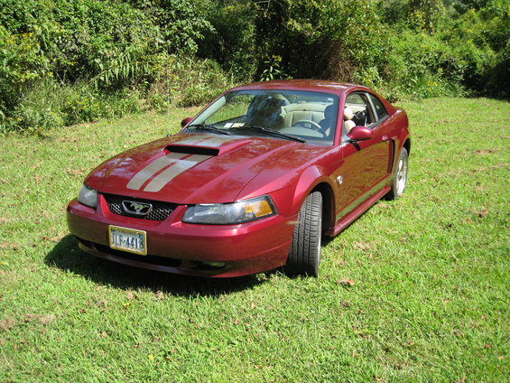 2004 Ford Mustang 40th Anniversary. 2004 Mustang 40th Anniversary