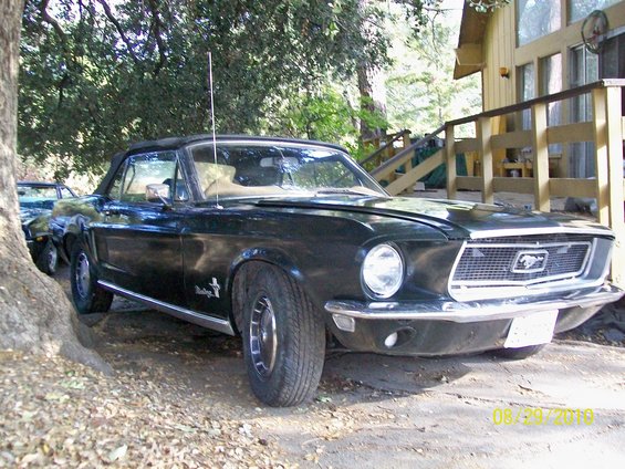 Re Going Green with a'68 Mustang Convertible 68 mustang
