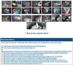 Link to an Album Section, See Where People Click From