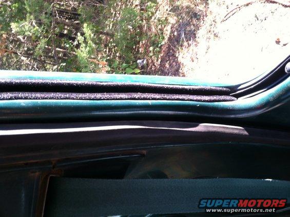 Green vehicle door seal and interior trim