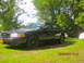 2003 Ford Crown Victoria - A black 2003 Ford Crown Victoria is parked on a grassy area with trees in the background. Another vehicle is partially visible to the right.