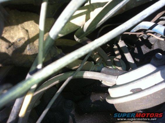 vac2.jpg