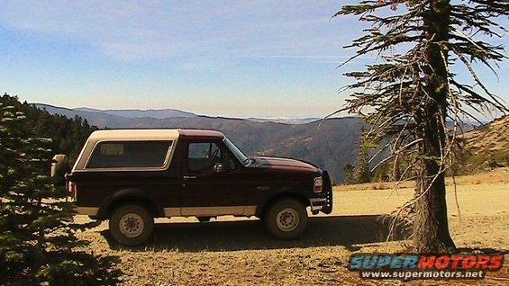 Mendocino Nat. Forest, CA