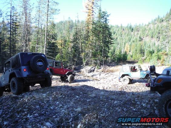 Four-door Jeep Wrangler, dark blue, rear view, on a rocky, wooded trail